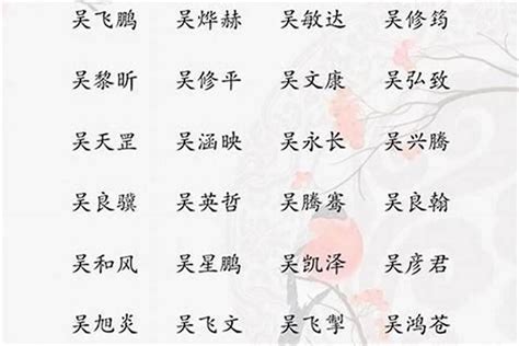 吳取名|吴姓寓意好的男孩名字（精选200个）